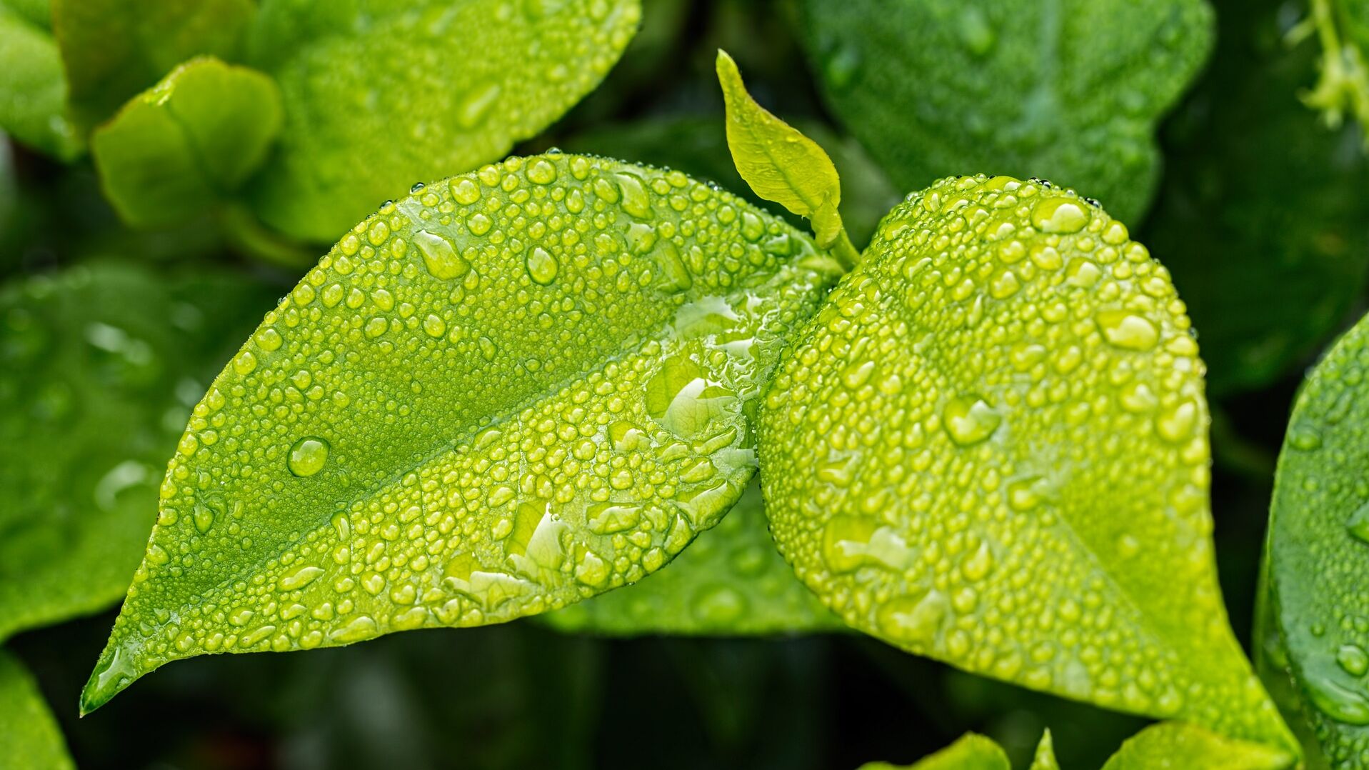 Gebäudeversicherung St.Gallen